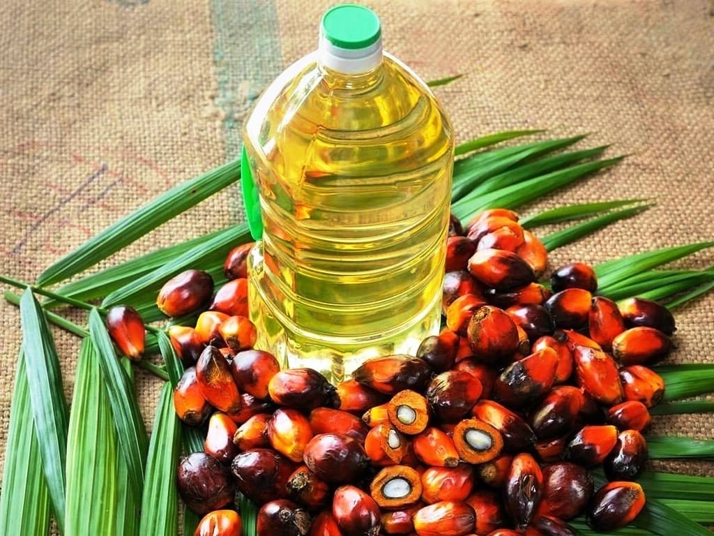Пальмовое масло