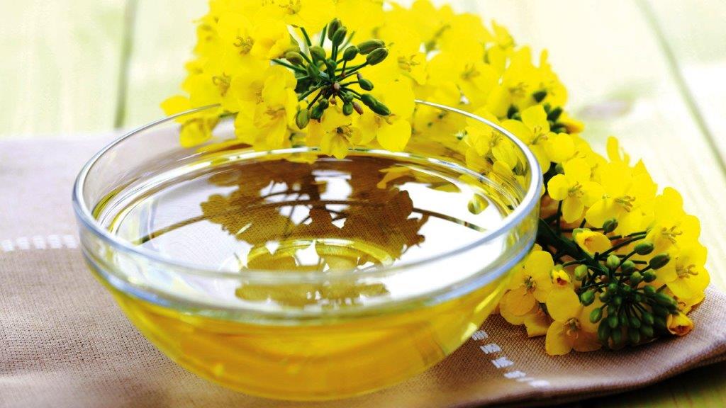 Корисна та маловідома олія рижію