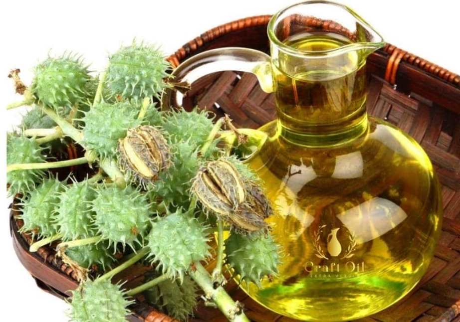 Касторова олія