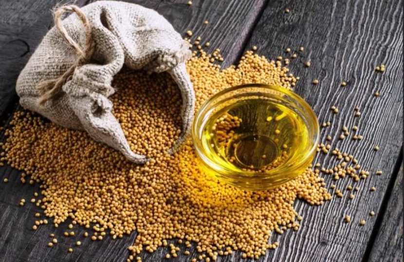 Польза и применение зерен горчицы желтой