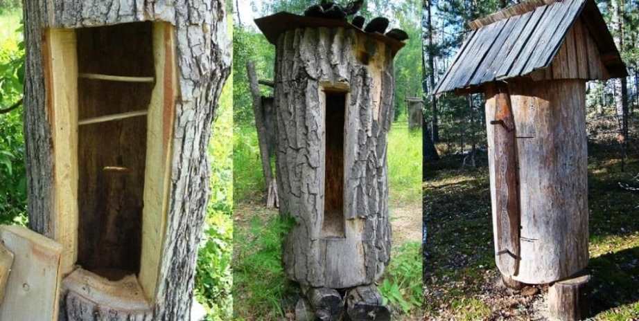 Колодное пчеловодство описание и особенности
