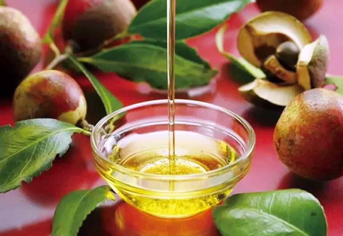 Олія камелфї чайної