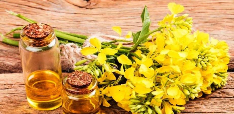 Рыжиковое масло польза при сердечных недугах