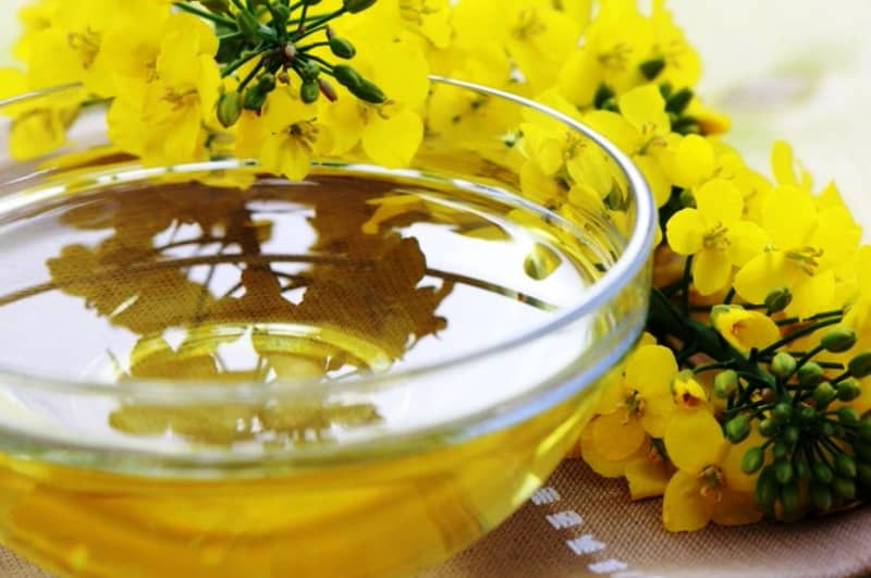 Рижієва олія користь для жінок