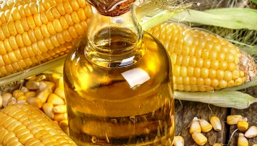 Кукурузное масло польза и вред