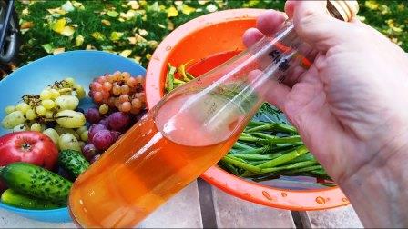 Масла для консервирования
