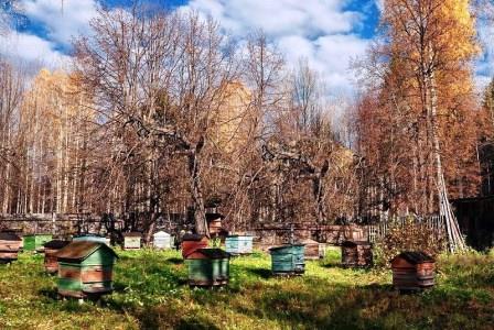 Осенняя пасека 