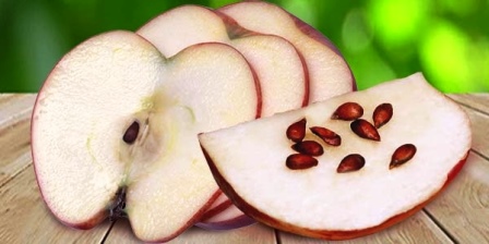 Яблочные косточки 