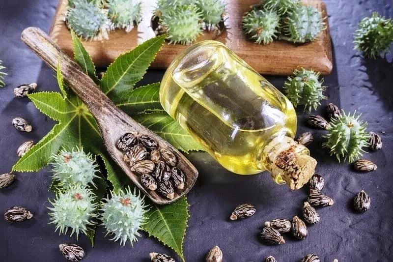 Незвичайні способи використання ксторки