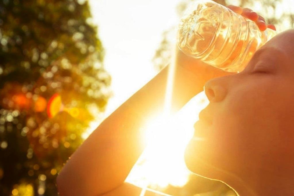 Олії, які допомагають у літню спеку