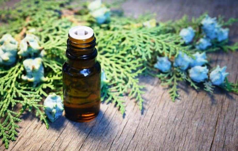 Thuja oil