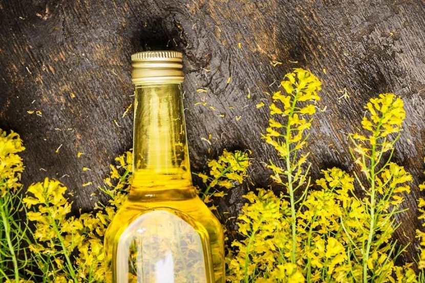 Canola oil