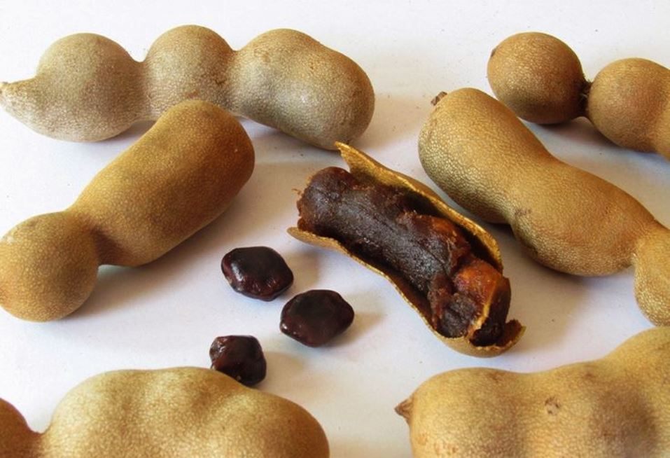 Tamarind