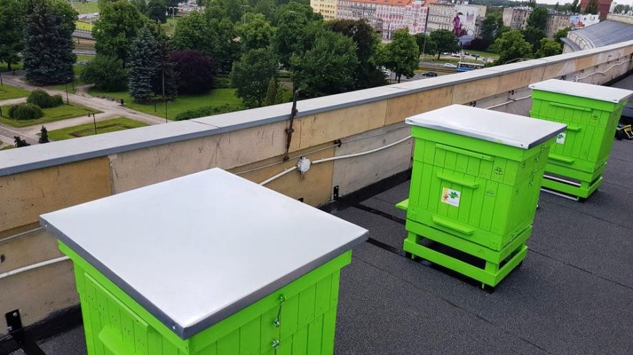Вулики на дахах і на балконах