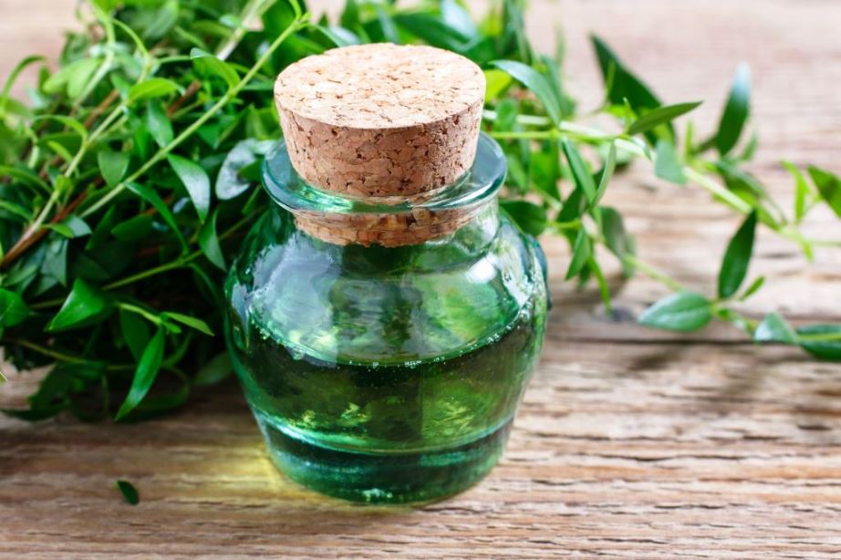 Myrtle oil