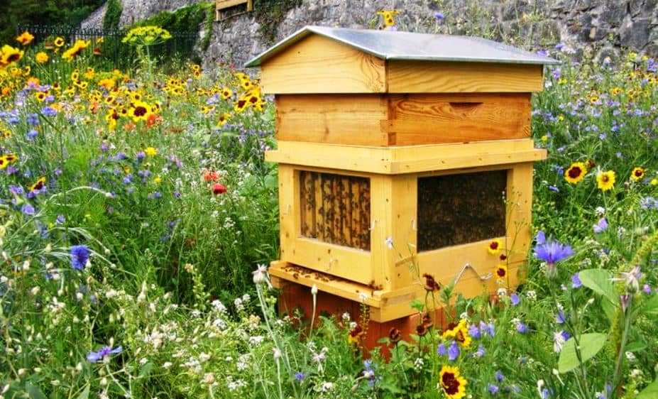 Solar hive