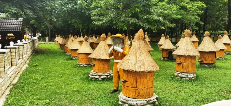 Round beehive