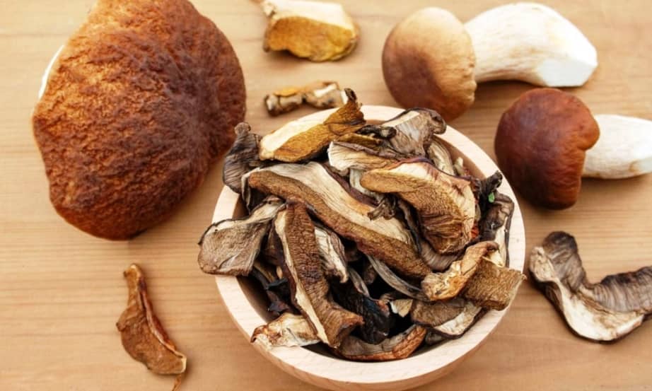 How to dry mushrooms in a dehydrator cabinet
