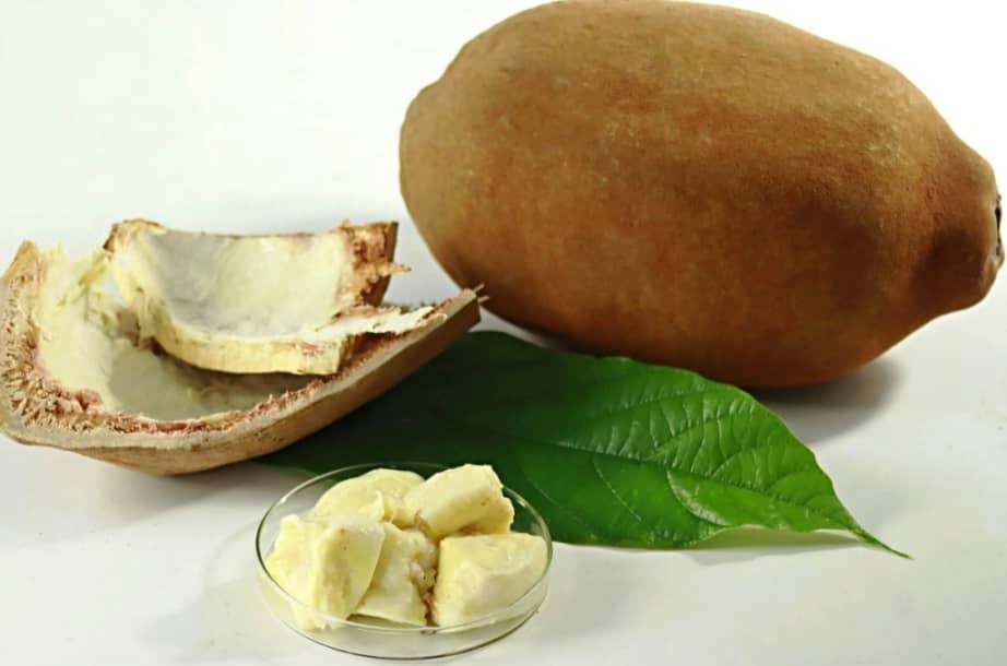Cupuaçu butter