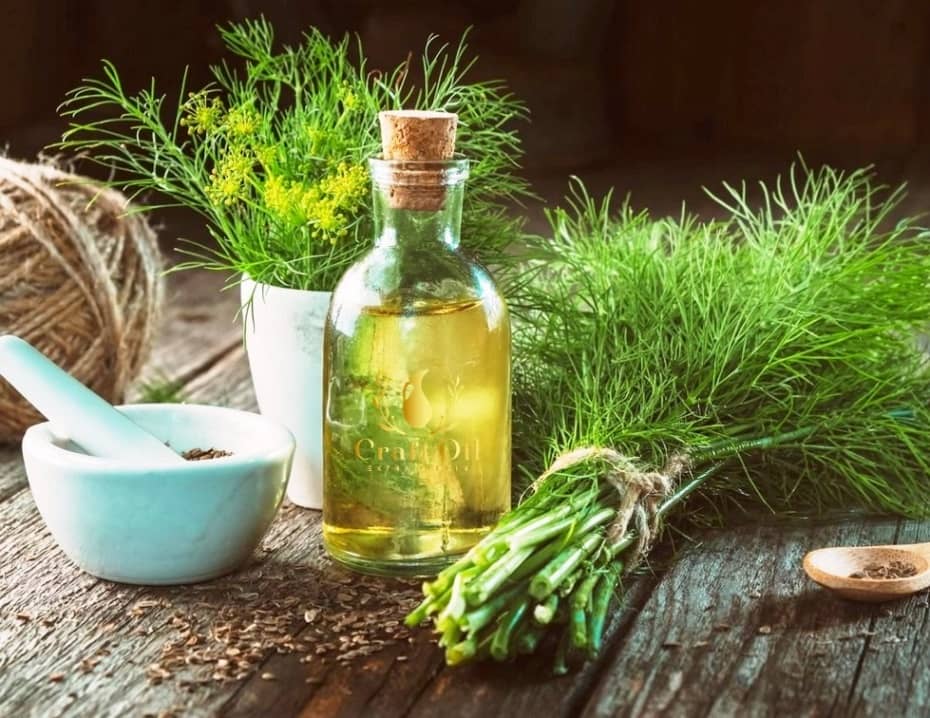 Dill oil