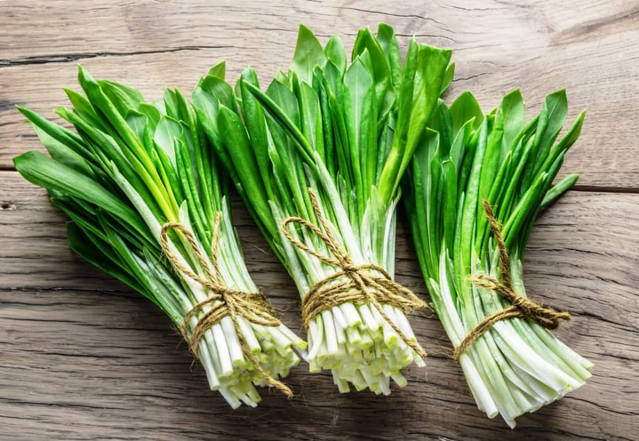 Wild garlic (Ramsons)