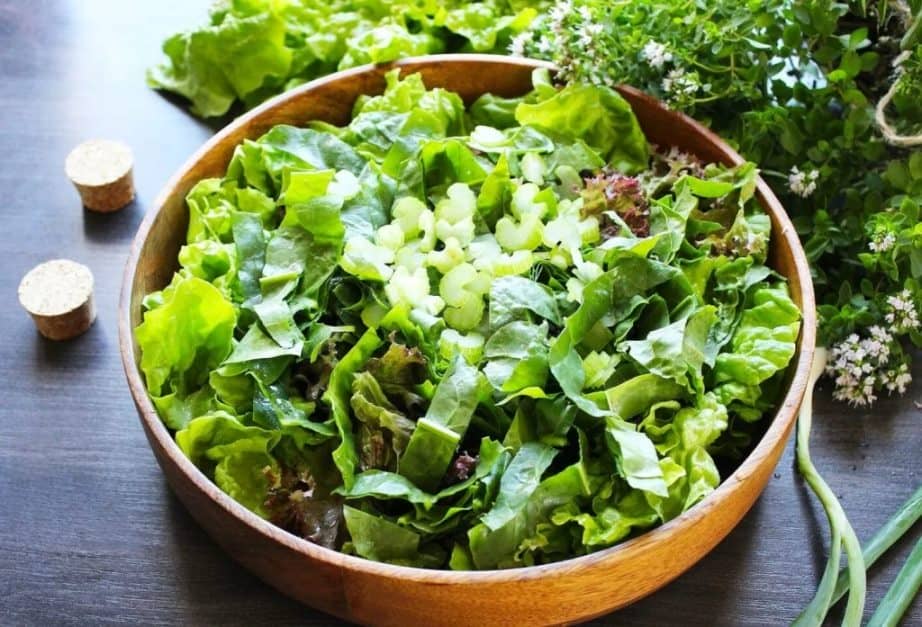 Spring sorrel salad