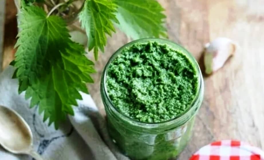 Nettle pesto sauce