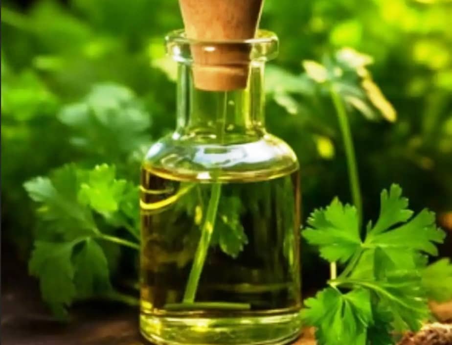 Parsley oil