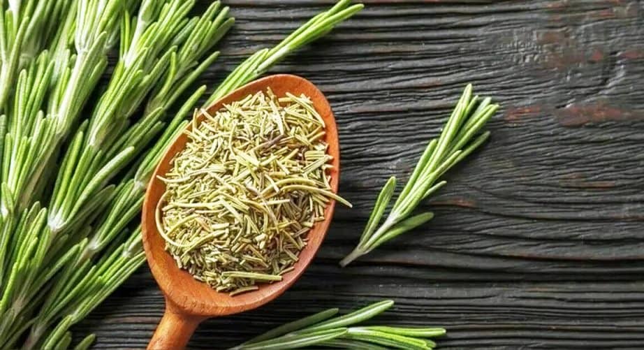 Rosemary health benefits