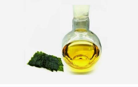 Водорослевое масло