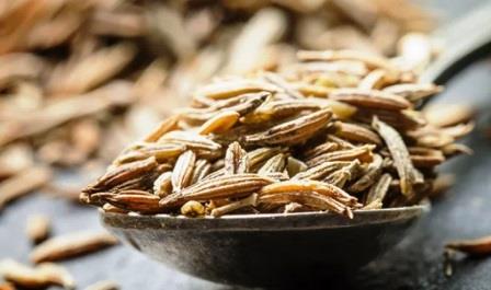 Cumin seeds